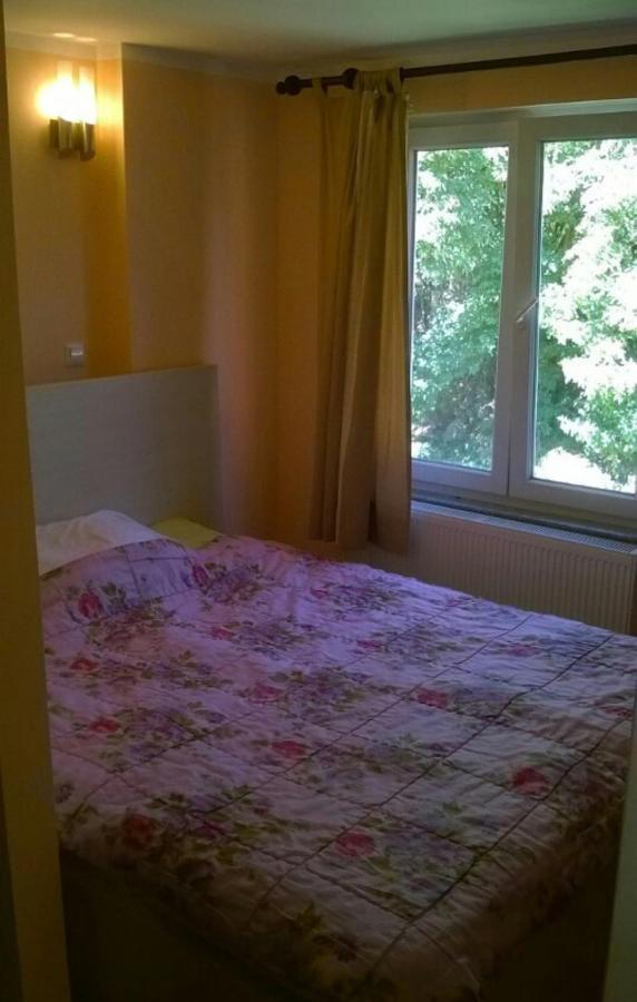 Saray Downtown Apartment Private Parking Free Wifi 塞拉耶佛 外观 照片